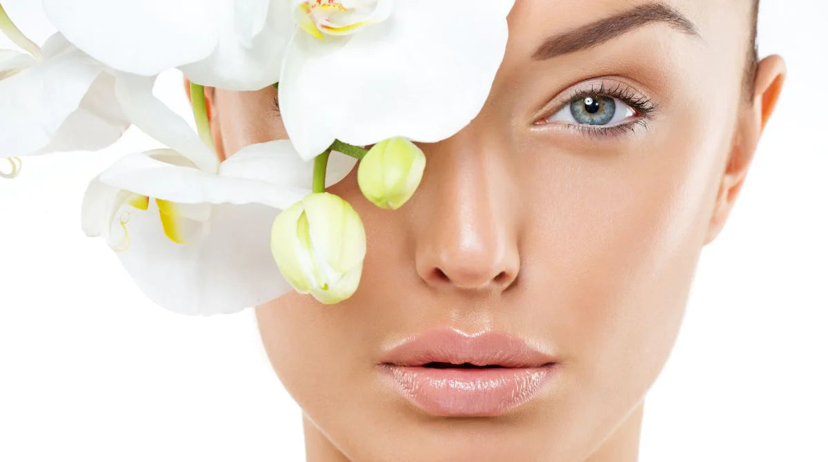Collection: Beauty Collection: Beauty
